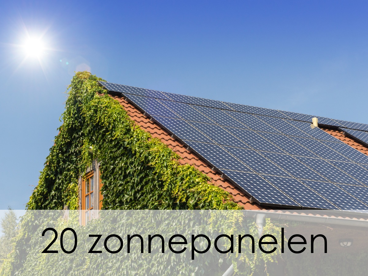 20 zonnepanelen