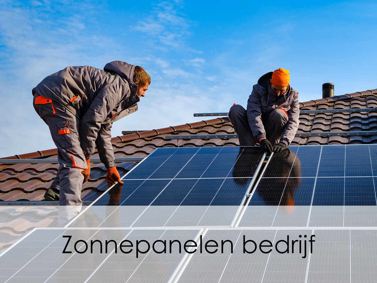 zonnepanelen bedrijf