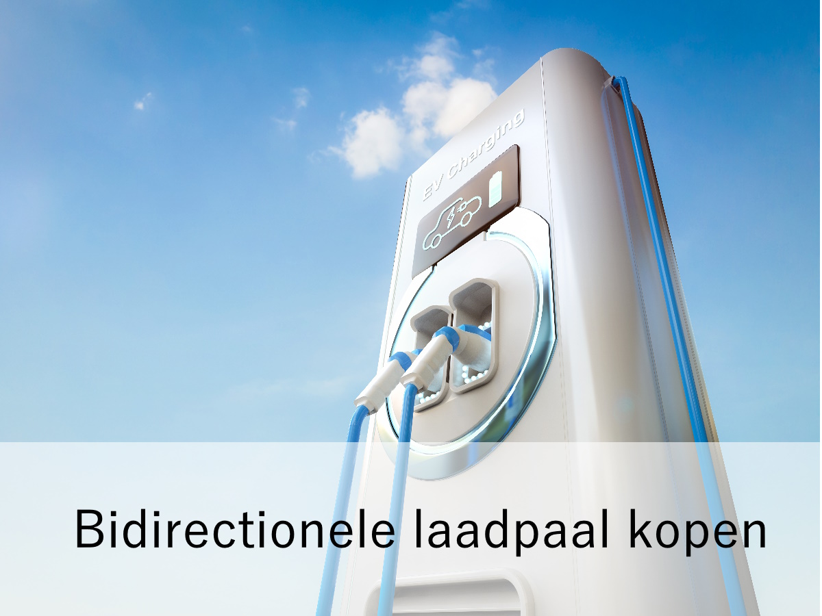 bidirectionele laadpaal kopen