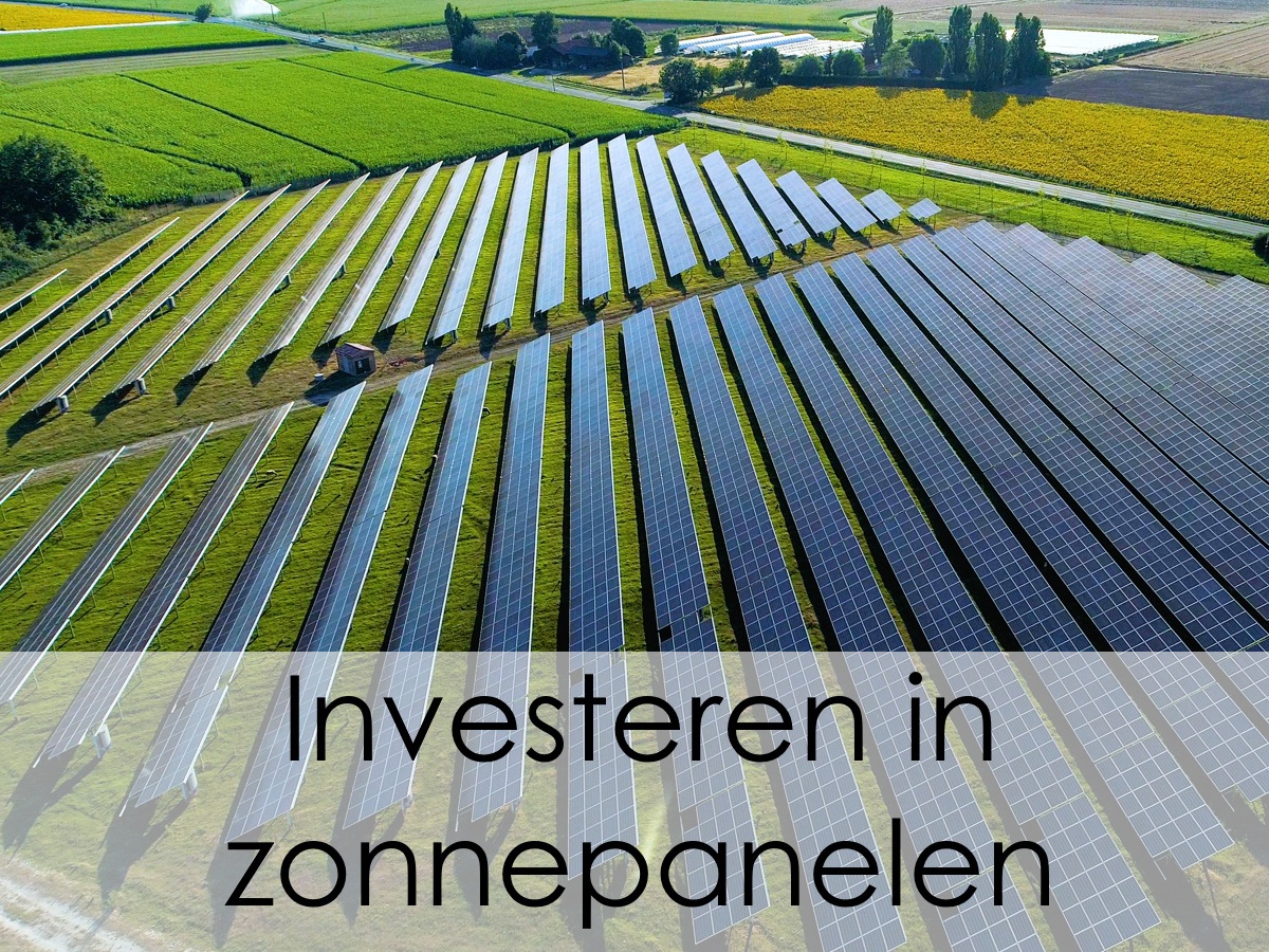 Weiland met zonnepanelen van energiecoöperatie