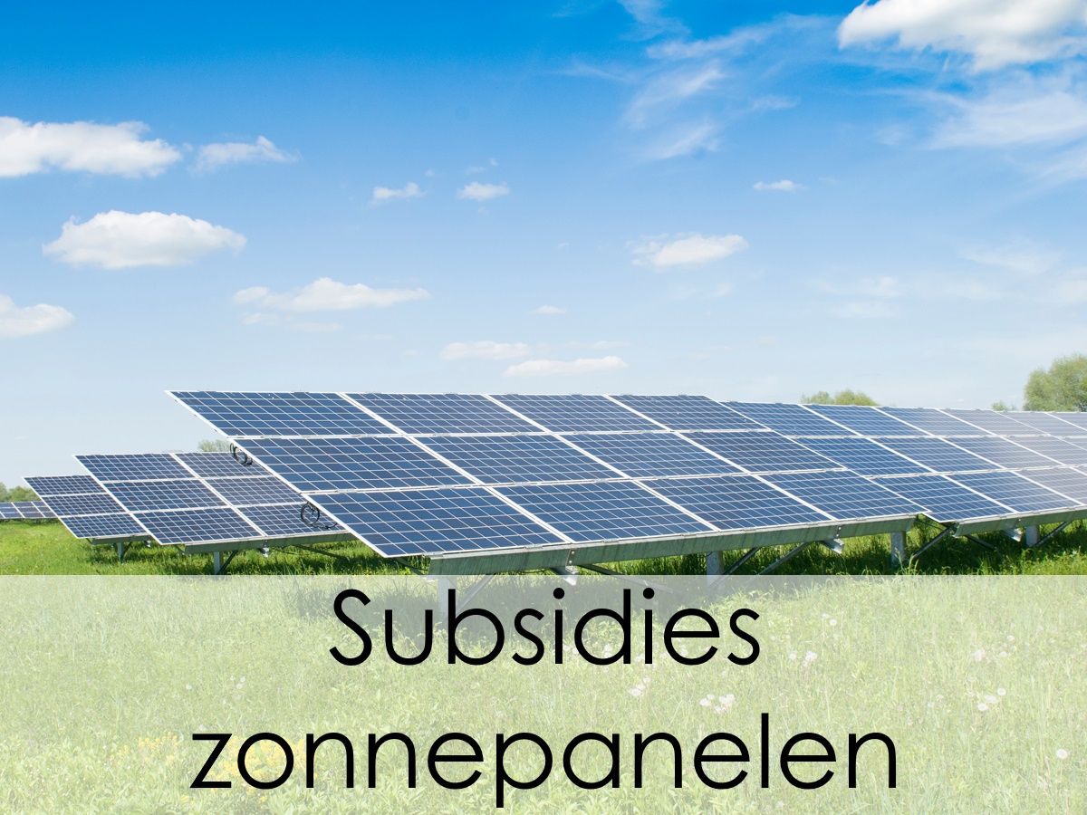 Zonnepanelen plaatsen in weiland met behulp van subsidie