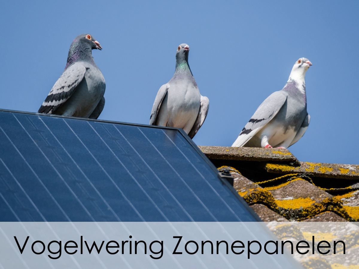 vogelwering zonnepanelen