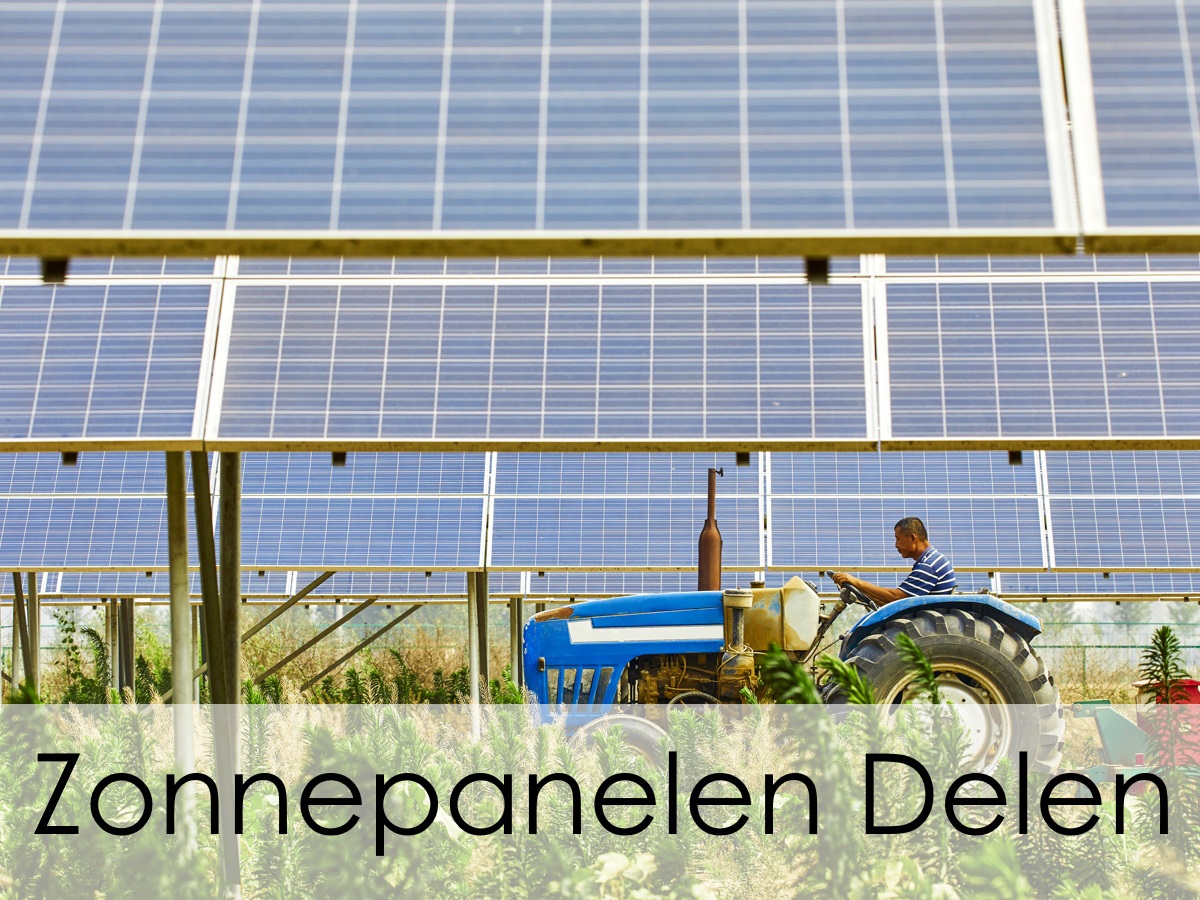 Zonnepanelen delen op weiland in de buurt