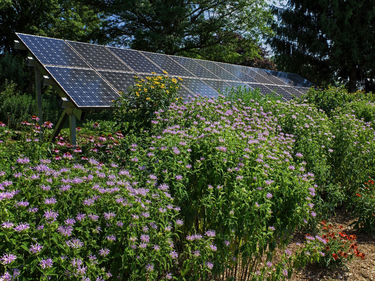 zonnepanelen die op de grond geplaats zijn 