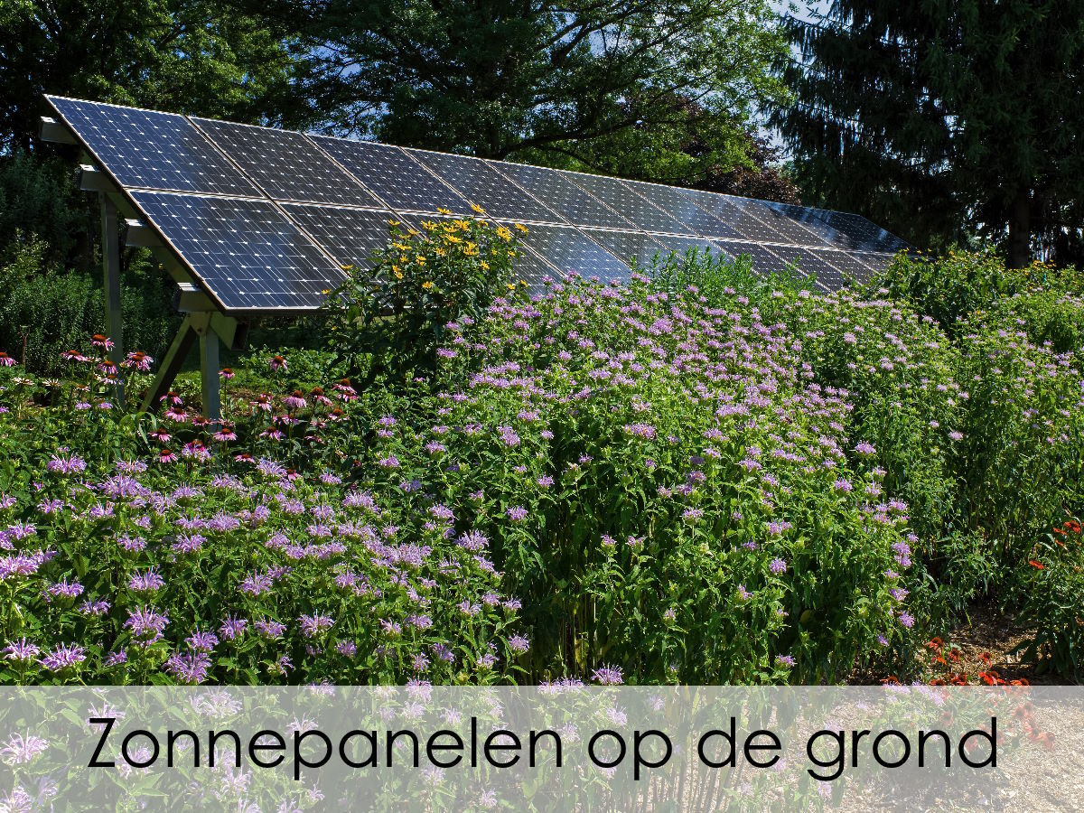zonnepanelen in grondopstelling