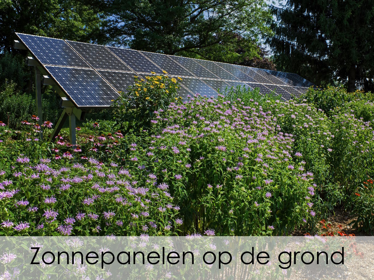 zonnepanelen in grondopstelling